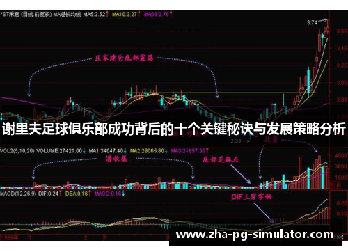 谢里夫足球俱乐部成功背后的十个关键秘诀与发展策略分析
