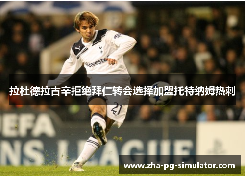 拉杜德拉古辛拒绝拜仁转会选择加盟托特纳姆热刺 拉杜德拉古辛拒绝拜仁转会选择加盟托特纳姆热刺