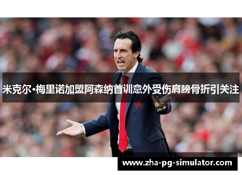 米克尔·梅里诺加盟阿森纳首训意外受伤肩膀骨折引关注